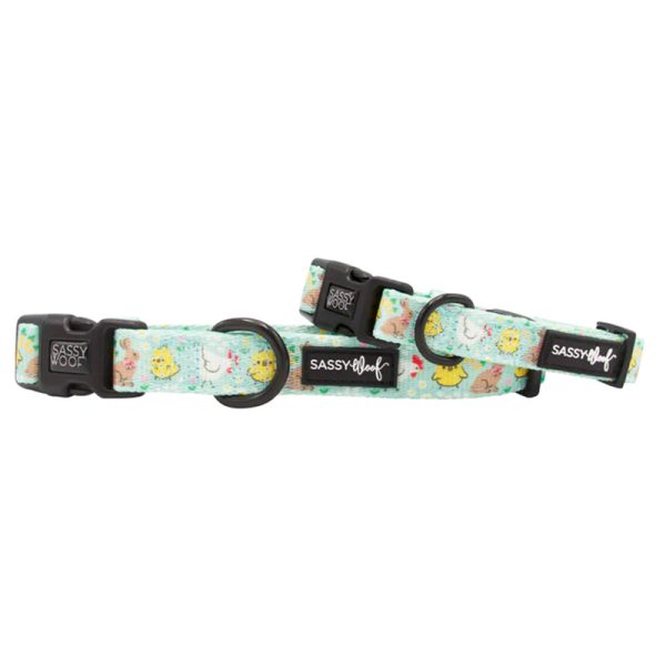 Sassy Woof - Dog Collar - Chick Me Out