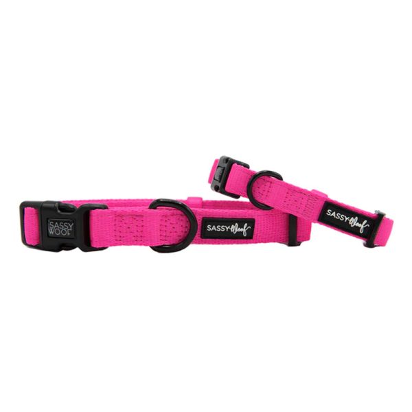 Sassy Woof - Dog Collar - Neon Pink