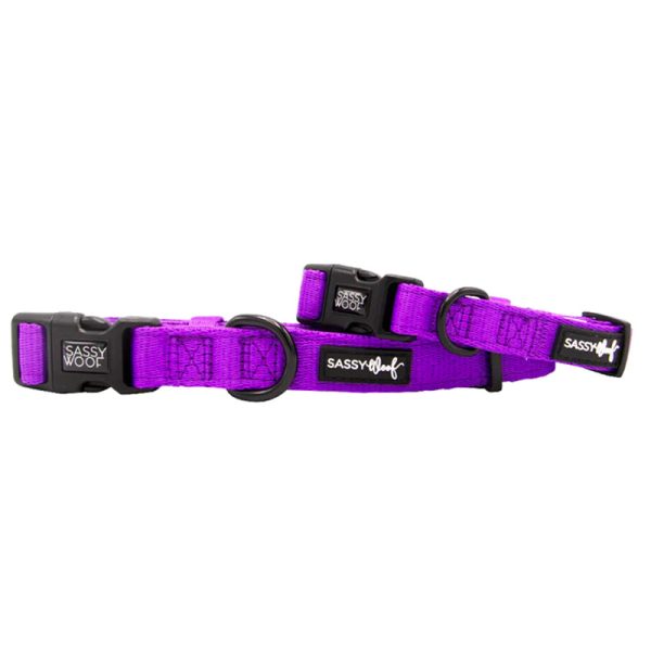 Sassy Woof - Dog Collar - Neon Purple