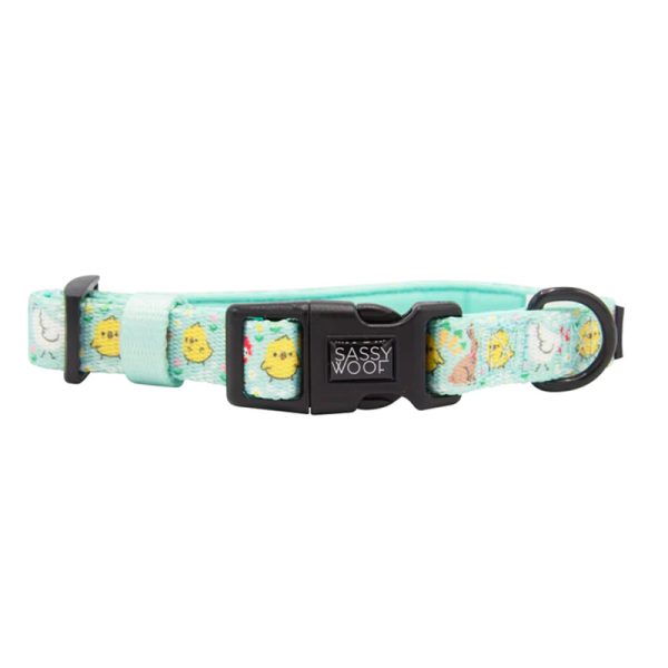 Sassy Woof - Dog Collar - Chick Me Out