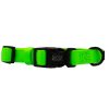 Sassy Woof - Dog Collar - Neon Green