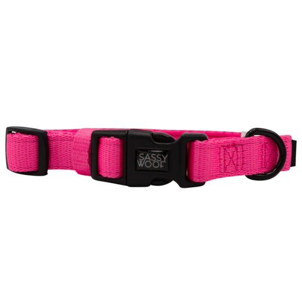 Sassy Woof - Dog Collar - Neon Pink
