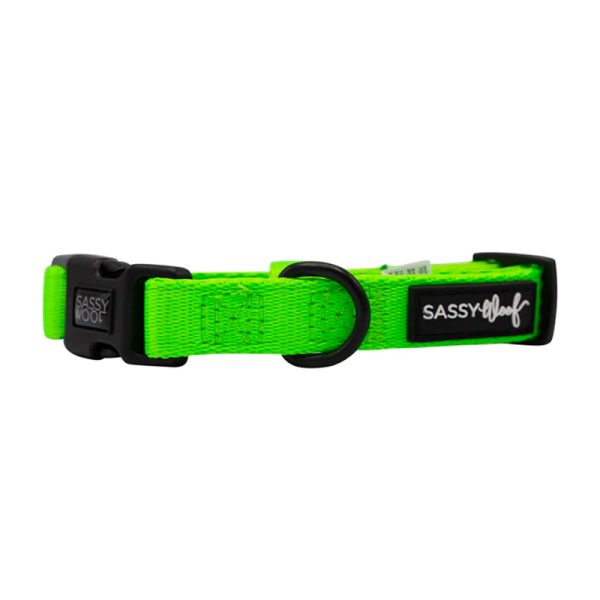 Sassy Woof - Dog Collar - Neon Green
