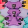 Dog Adjustable Harness - Neon Purple