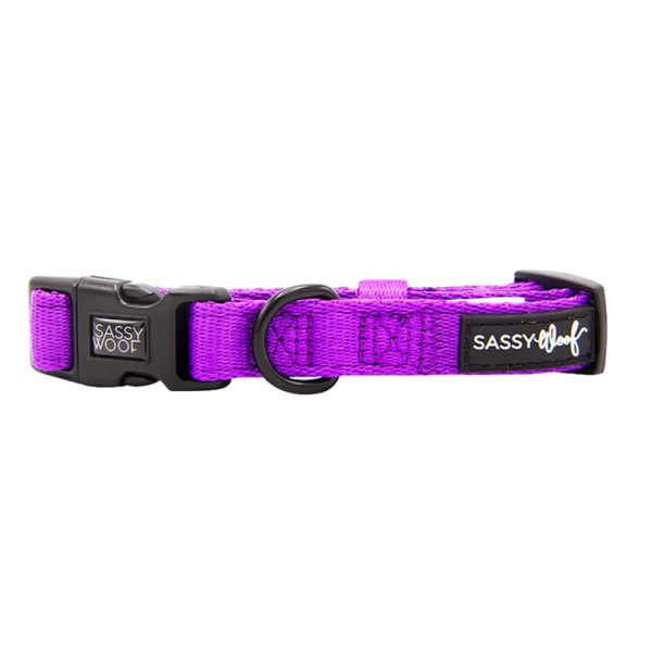 Sassy Woof - Dog Collar - Neon Purple
