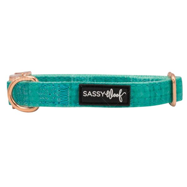 Sassy Woof - Dog Collar - Wag Your Teal