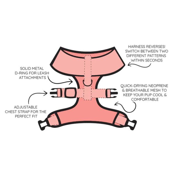 Dog Reversible Harness Example