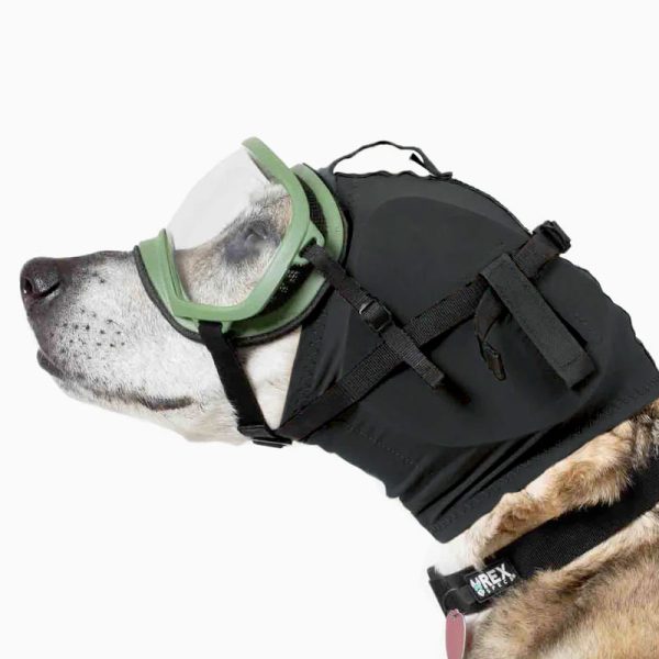Rex Specs Ear Pro For Dogs