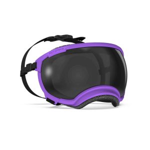 Rex Specs V2 Goggles - Pike Purple