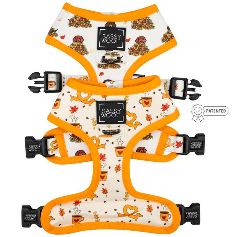 Dog Reversible Harness - Dachshund in the Leaves