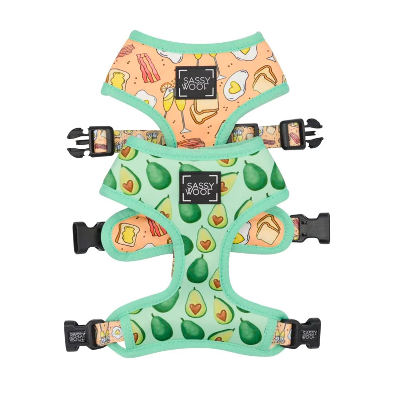 Dog Reversible Harness - Hearty Brunch